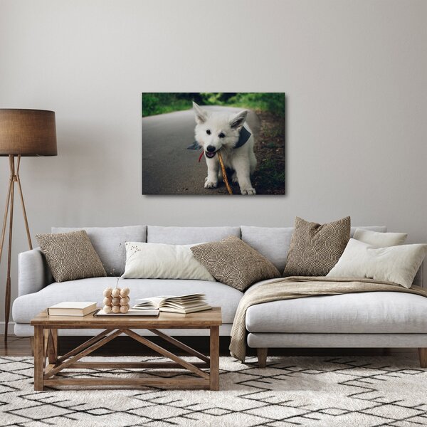 Tablou cu câinele alb (70x50 cm)