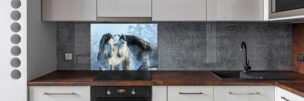 Panou sticla securizata bucatarie cai gri de iarnă