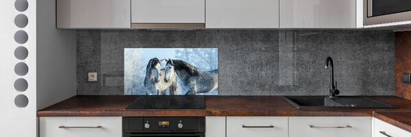 Panou sticla securizata bucatarie cai gri de iarnă