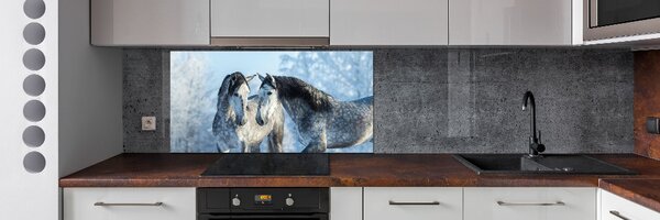 Panou sticla securizata bucatarie cai gri de iarnă
