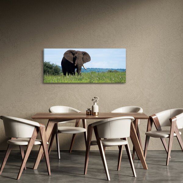 Tablou cu elefant (120x50 cm)