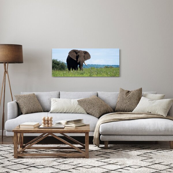 Tablou cu elefant (120x50 cm)