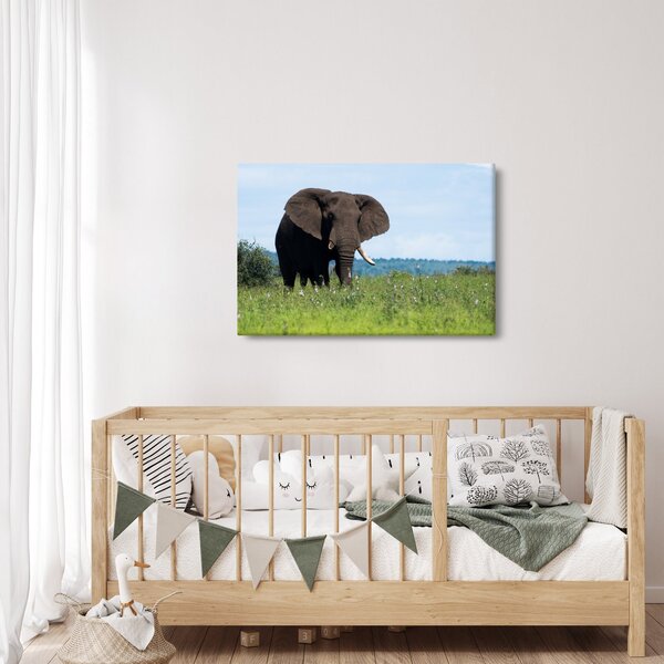 Tablou cu elefant (90x60 cm)