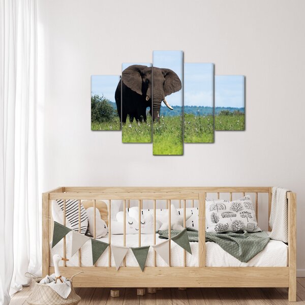 Tablou cu elefant (150x105 cm)