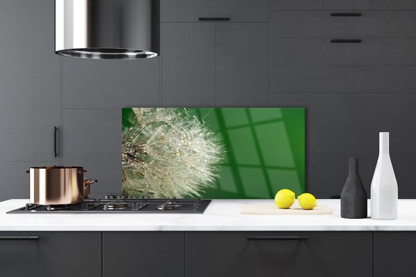 Panou sticla bucatarie Păpădie Floral Alb Verde