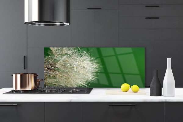 Panou sticla bucatarie Păpădie Floral Alb Verde