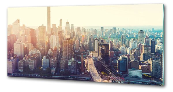 Panou sticla securizata bucatarie New York pasăre de zbor
