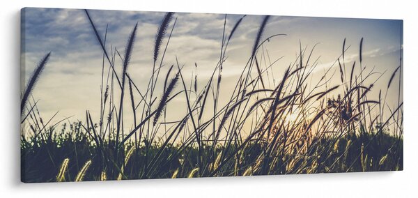 Tablou cu flori de câmp (120x50 cm)