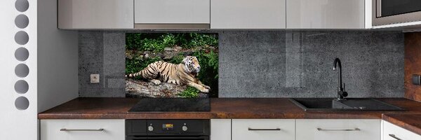 Panou de bucătărie Tiger pe stâncă