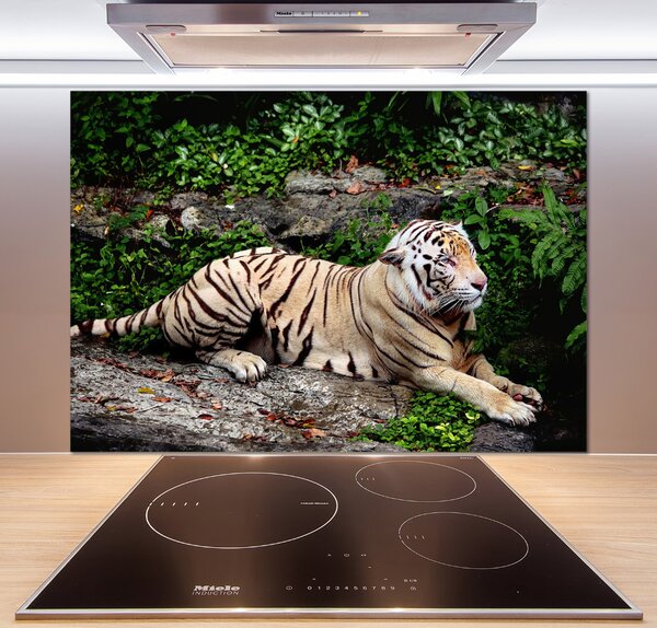 Panou de bucătărie Tiger pe stâncă