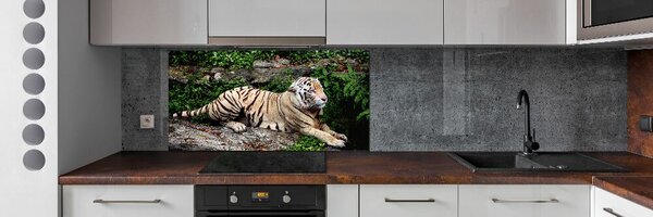 Panou de bucătărie Tiger pe stâncă