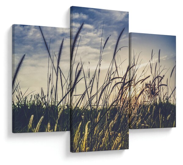 Tablou cu flori de câmp (90x60 cm)