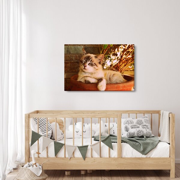 Tablou cu pisica în ghiveci (90x60 cm)