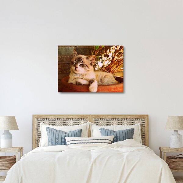 Tablou cu pisica în ghiveci (70x50 cm)