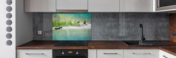 Panou sticlă decorativa bucătărie Ducks de apă
