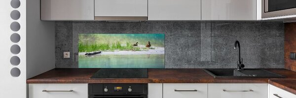 Panou sticlă decorativa bucătărie Ducks de apă