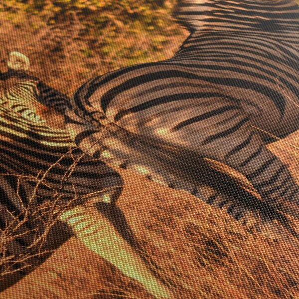 Tablou cu zebre (150x105 cm)