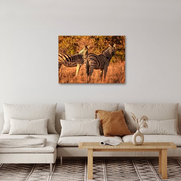Tablou cu zebre (70x50 cm)