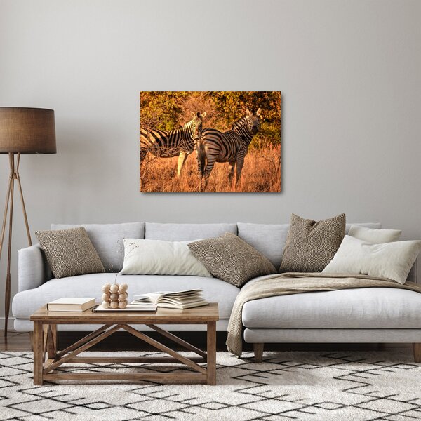 Tablou cu zebre (70x50 cm)