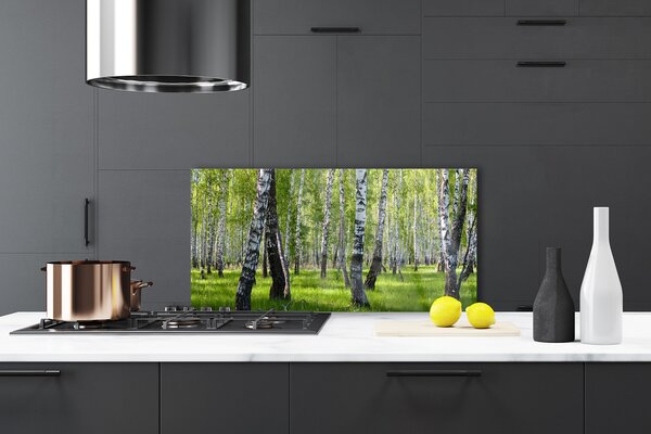 Panou sticla bucatarie Natural Pădurea Neagră Alb Verde
