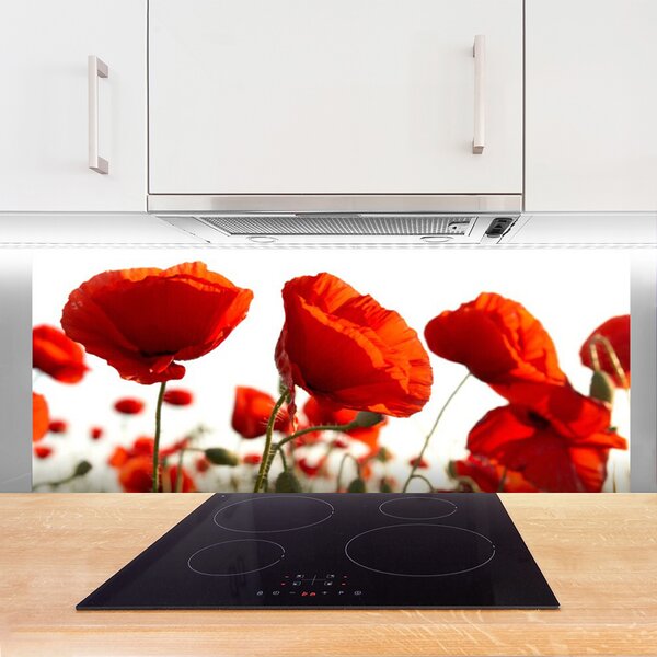 Panou sticla bucatarie Maci Floral Red