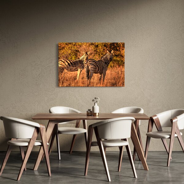 Tablou cu zebre (90x60 cm)