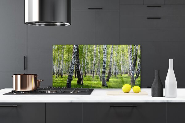 Panou sticla bucatarie Natural Pădurea Neagră Alb Verde