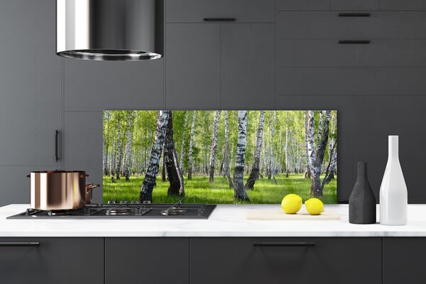 Panou sticla bucatarie Natural Pădurea Neagră Alb Verde