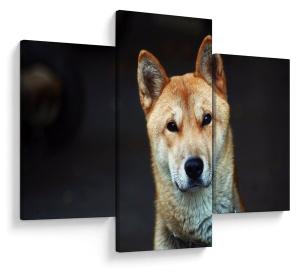 Tablou cu câine (90x60 cm)