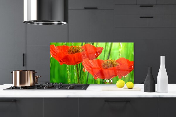 Panou sticla bucatarie Maci Floral Roșu Verde