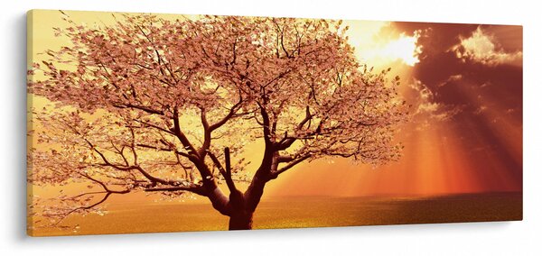 Tablou cu razele lui Dumnezeu (120x50 cm)