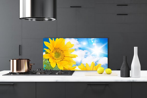 Panou sticla bucatarie Flori Floral Galben