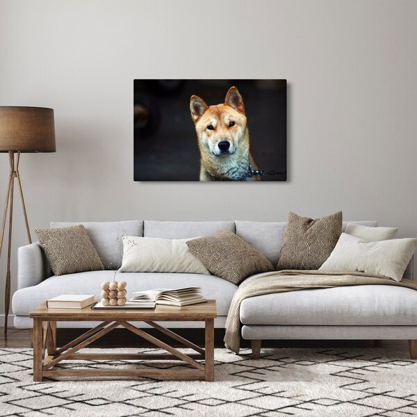 Tablou cu câine (90x60 cm)