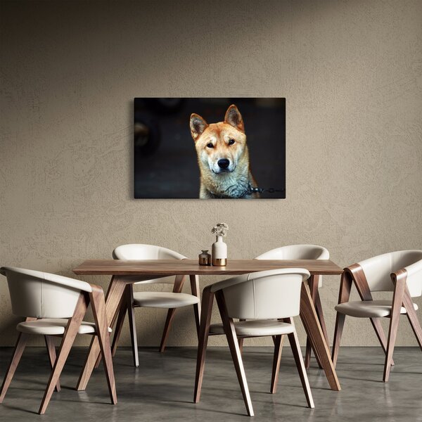Tablou cu câine (90x60 cm)