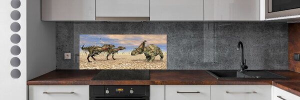 Panou sticla securizata bucatarie dinozauri