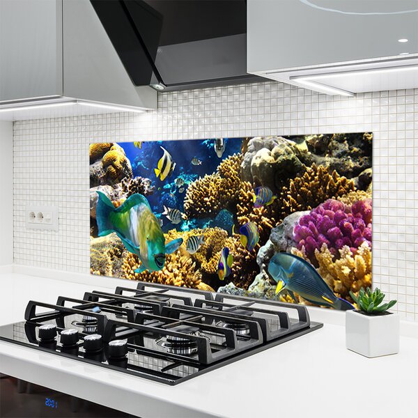 Panou sticla bucatarie Coral Reef Natura Multi