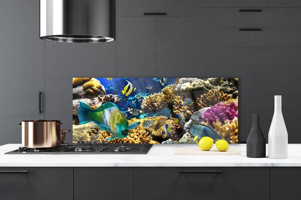 Panou sticla bucatarie Coral Reef Natura Multi