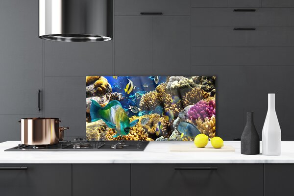 Panou sticla bucatarie Coral Reef Natura Multi