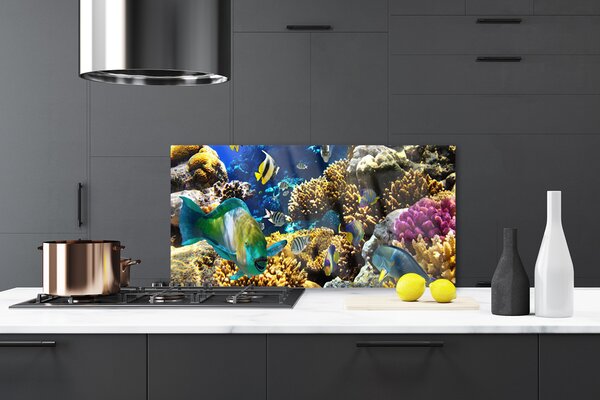 Panou sticla bucatarie Coral Reef Natura Multi