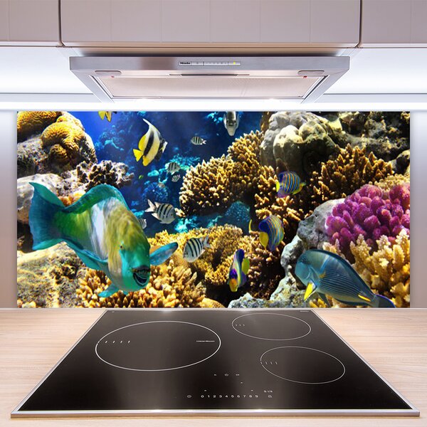 Panou sticla bucatarie Coral Reef Natura Multi