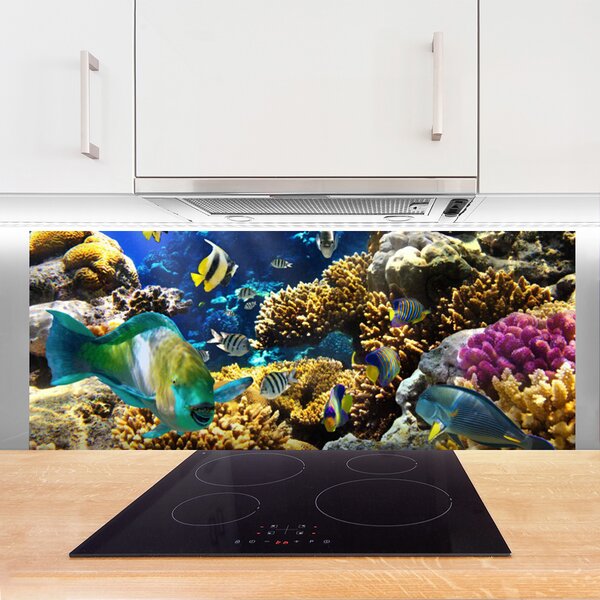Panou sticla bucatarie Coral Reef Natura Multi
