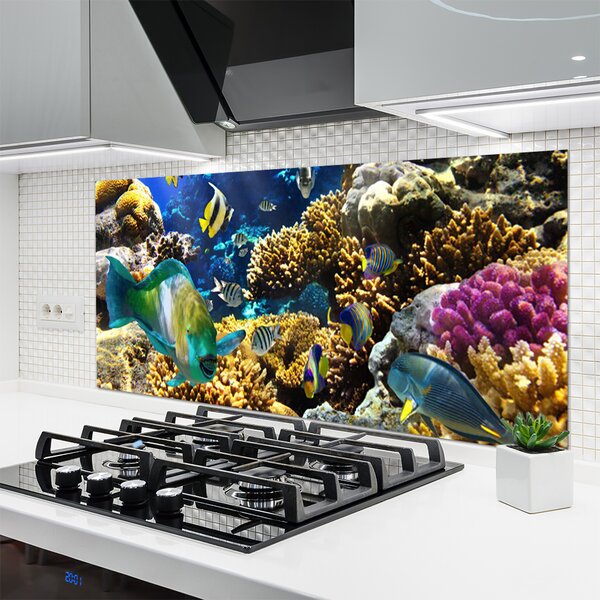 Panou sticla bucatarie Coral Reef Natura Multi