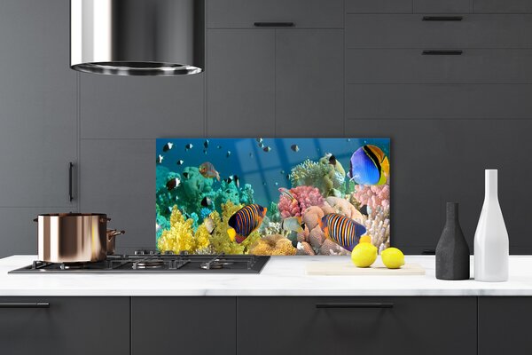 Panou sticla bucatarie Coral Reef Natura Multi