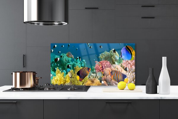 Panou sticla bucatarie Coral Reef Natura Multi