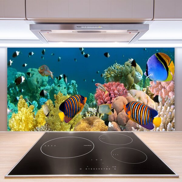 Panou sticla bucatarie Coral Reef Natura Multi