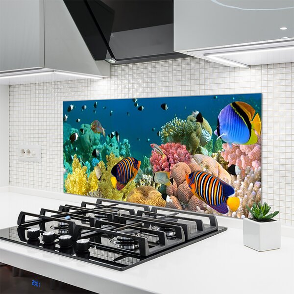 Panou sticla bucatarie Coral Reef Natura Multi