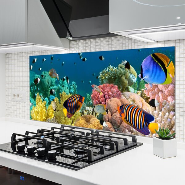 Panou sticla bucatarie Coral Reef Natura Multi