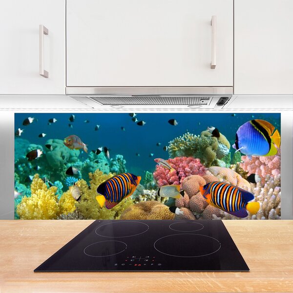 Panou sticla bucatarie Coral Reef Natura Multi