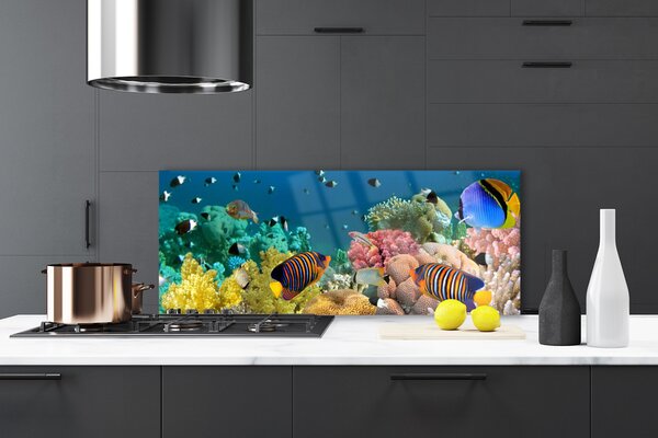 Panou sticla bucatarie Coral Reef Natura Multi
