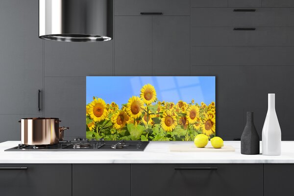 Panou sticla bucatarie Floarea soarelui Floral Galben Verde